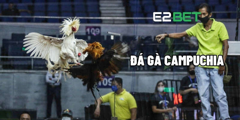 da ga campuchia 1 1